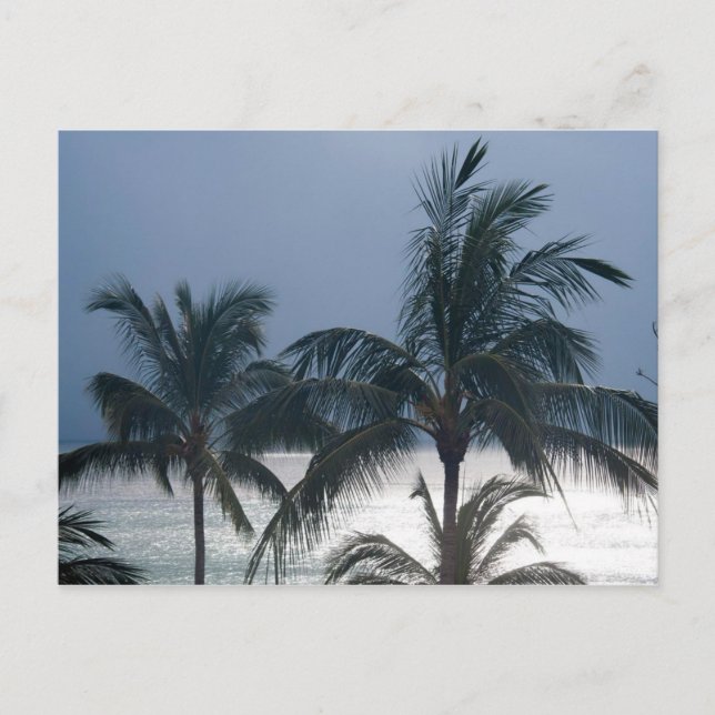 Palmen am Strand Postkarte (Vorderseite)