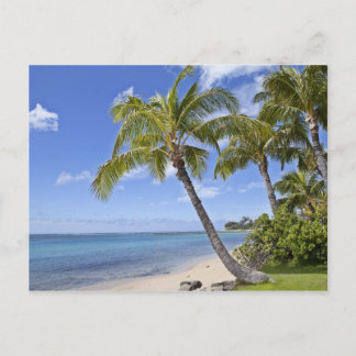 Palmen am Strand von Hawaii. Postkarte