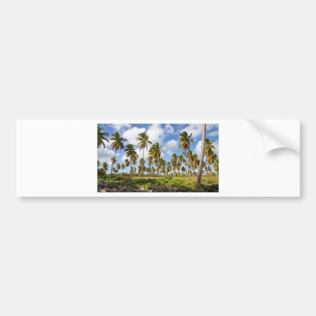 Palmen am Strand von Isla Saona Autoaufkleber (Vorne)