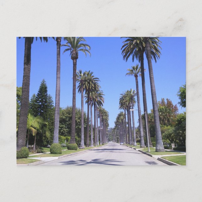 Palmen an einer Straße in Los Angeles Postkarte (Vorderseite)