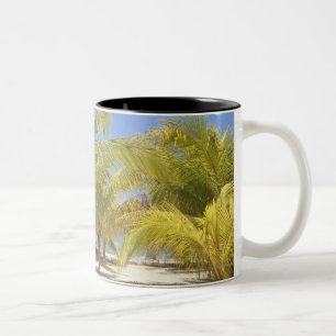 Palmen auf einem weißen Sand-Strand Hondurass Zweifarbige Tasse