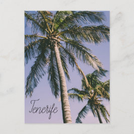 Palmen auf Teneriffa Postkarte