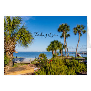 Palmen Bayside Morning Denken Sie an Ihre Karte