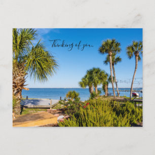 Palmen Bayside Morning Denken Sie an U Postkarte