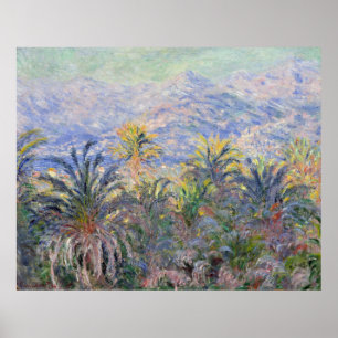 Palmen bei Bordighera - Claude Monet Poster