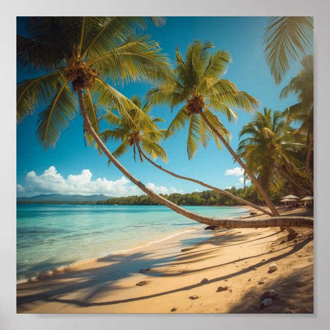 Palmen entlang der Küste Poster (Vorne)