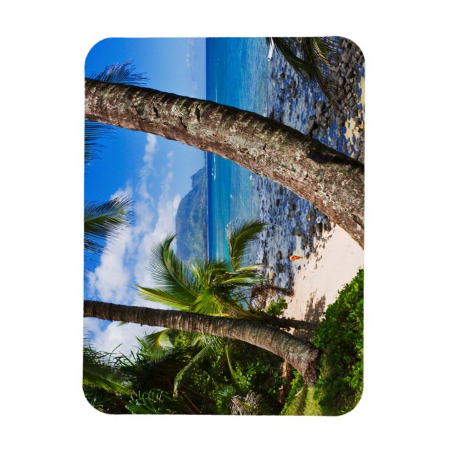 Palmen entlang des Hideaways Beach Magnet (Vertikal)
