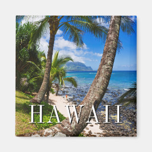 Palmen entlang Hideaways Beach Magnet