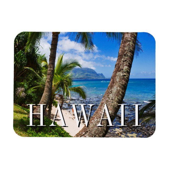 Palmen entlang Hideaways Beach Magnet (Horizontal)