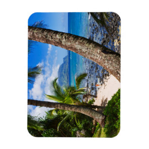 Palmen entlang Hideaways Beach Magnet