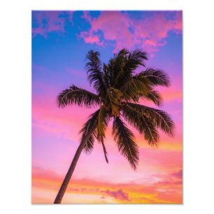 Palmen Fotodruck