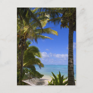 Palmen gesäumter Strand Cook Islands 2 Postkarte