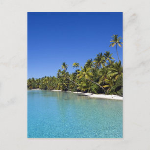 Palmen gesäumter Strand Cook Islands 2 Postkarte