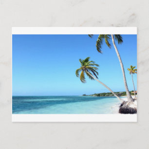 Palmen im Meer Postkarte