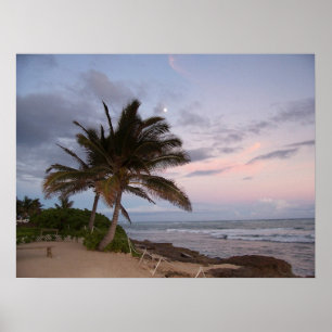 Palmen im Paradies Poster