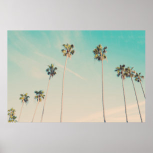 Palmen im Wind-Foto Poster