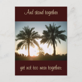 Palmen in Doha Postkarte