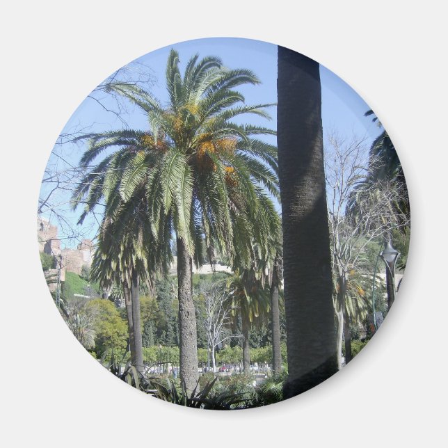 Palmen in Malaga Magnet (Vorne)