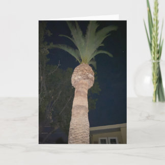 Palmen 🌴  karte