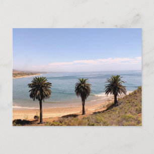 Palmen Küstenlandschaft Original-Fotografie Postkarte