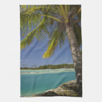 Palmen & Lagune, Musket Cove Island Resort