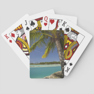 Palmen & Lagune, Musket Cove Island Resort Spielkarten