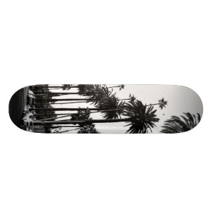 Palmen Los Angeless Beverly Hills Skateboard