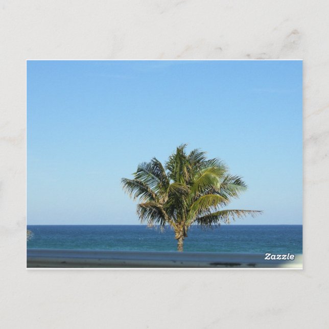 Palmen mit Blick auf den Ozean Postkarte (Rückseite)