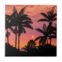Palmen mit Silhouette, Hawaii