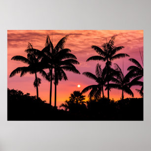 Palmen mit Silhouette, Hawaii Poster