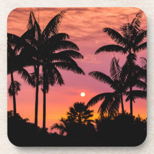 Palmen mit Silhouette, Hawaii Untersetzer