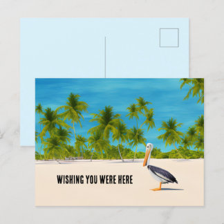 Palmen Palmen Strand Pelican Ocean View Postkarte