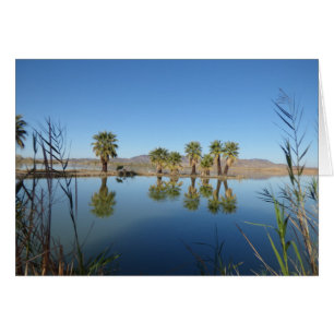 Palmen reflektiert
