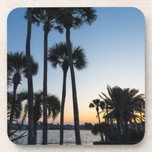 Palmen Sonnenaufgang Destin Florida Untersetzer Se