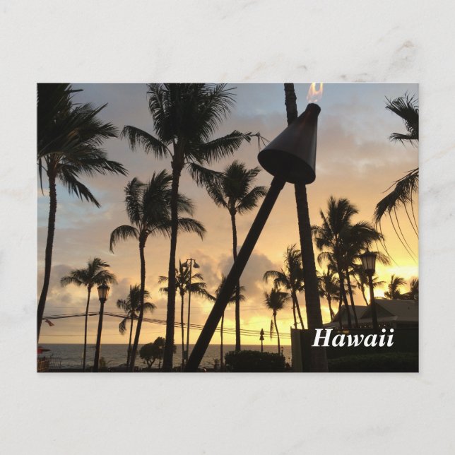 Palmen und hawaiianischer Sonnenuntergang Postkarte (Vorderseite)