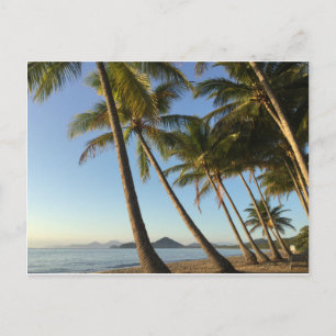 Palmen und Meer Postkarte