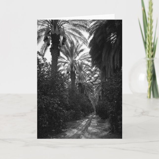 Palmen und Orangenbäume nähern sich Desert, 1966 Karte (Vorderseite)