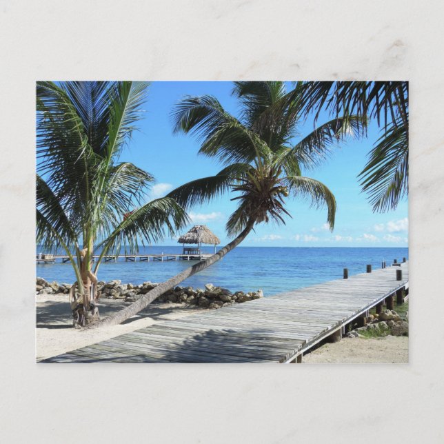 Palmen und Pier in Belize Postkarte (Vorderseite)