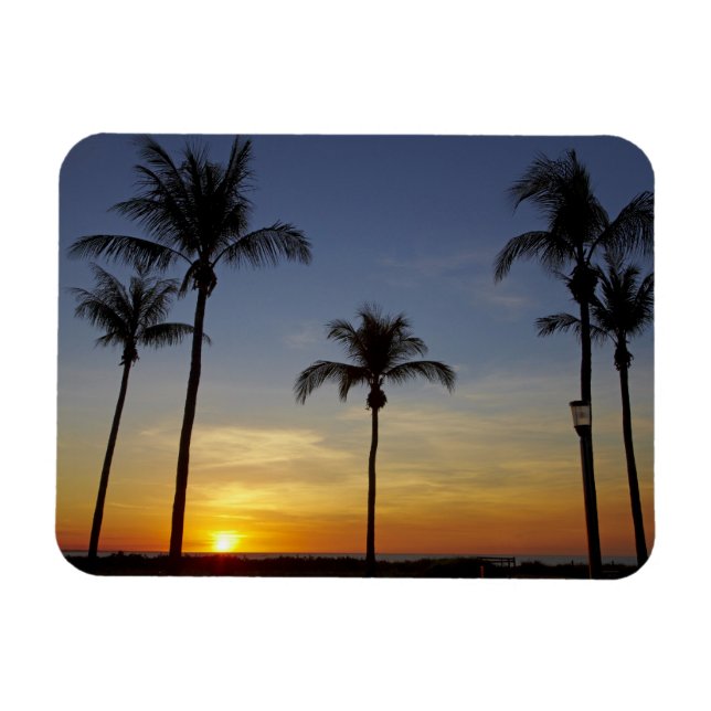 Palmen und Sonnenuntergang, Mindil Beach Magnet (Horizontal)
