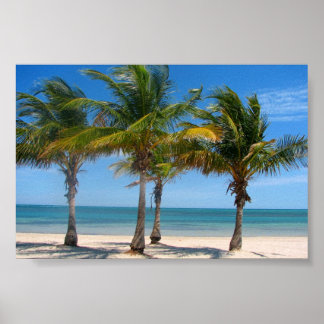 Palmen von Florida Poster
