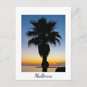 Palmen von Mallorca im Sonnenuntergang Postkarte