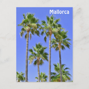 Palmen von Mallorca Postkarte