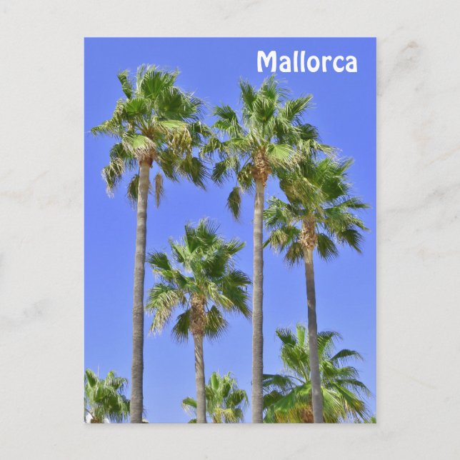 Palmen von Mallorca Postkarte (Vorderseite)