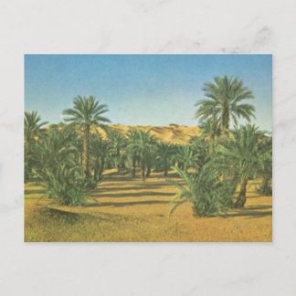 Palmen, Wadi el Adjal, Libyen Postkarte