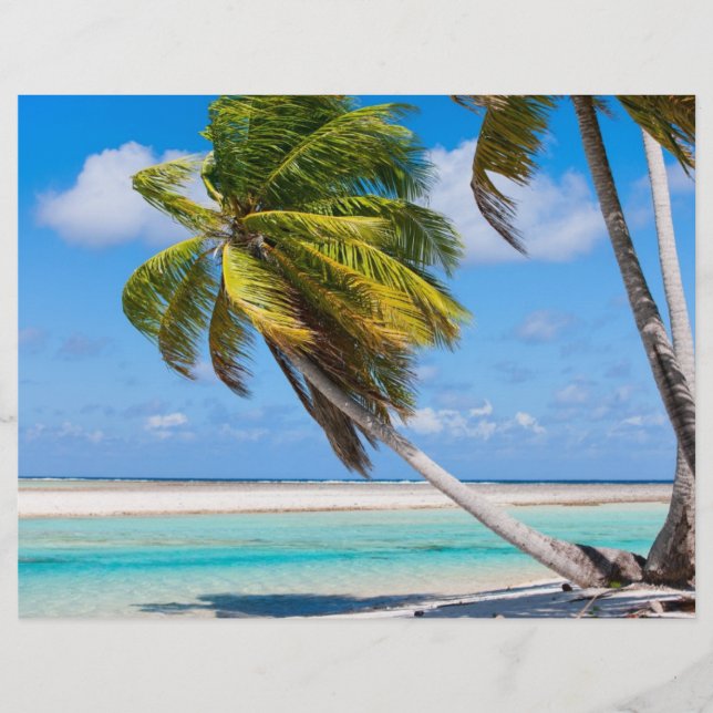 Palmenbaum am Meer Flyer (Vorne)
