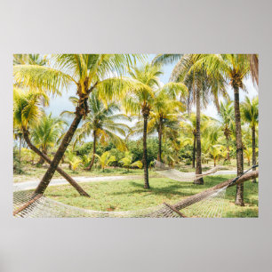 Palmenbaum am Morgen Poster