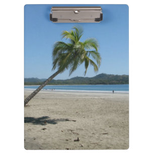 Palmenbaum am Strand Klemmbrett