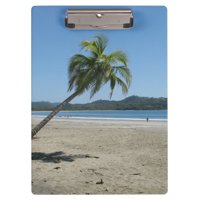 Palmenbaum am Strand Klemmbrett (Vorderseite)