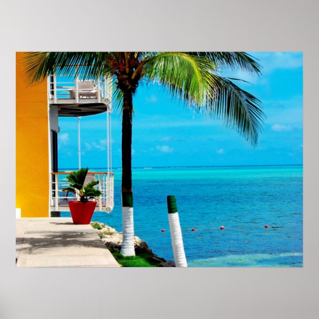 Palmenbaum an der Vorderseite eines Hauses am Meer Poster (Vorne)