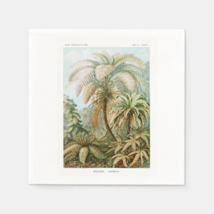 Palmenbaum Ernst Haeckel    Serviette